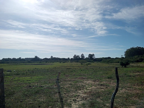 Imagem Chácara com 2 Quartos à Venda, 20.000 m² em águas Claras - Viamão