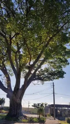Imagem Terreno à Venda, 250 m² em Residencial Jardim Do Jatobá - Hortolândia