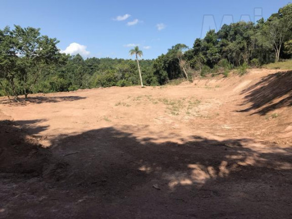 Imagem Terreno à Venda,  em Lomba Grande - Novo Hamburgo