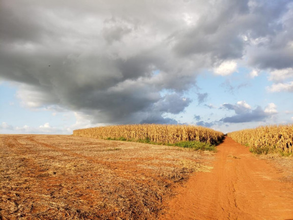 Imagem Fazenda à Venda, 2.178 m² em Rural - Itaí Imagem Fazenda à Venda, 2.178 m² em Rural - Itaí