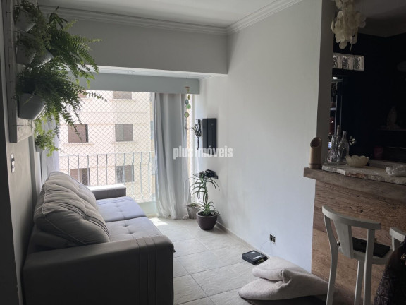 Apartamento com 2 Quartos à Venda, 55 m² em Vila Mascote - São Paulo