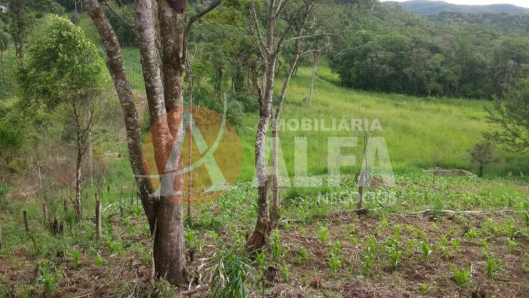 Imagem Terreno à Venda, 31.000 m² em Buru - Salto