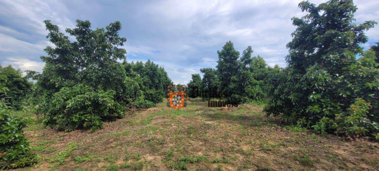 Fazenda à Venda, 44.500 m² em Monte Mor - Monte Mor