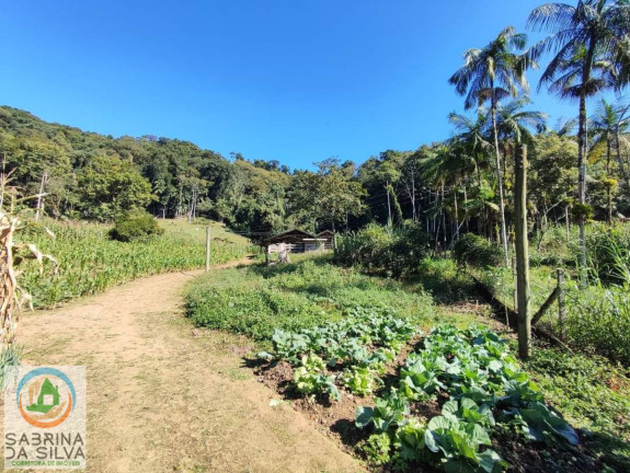 Imagem Fazenda à Venda, 250 m² em Vila Itoupava - Blumenau Imagem Fazenda à Venda, 250 m² em Vila Itoupava - Blumenau