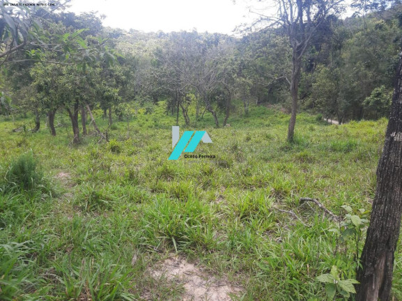 Imagem Fazenda à Venda, 60 m² em Azurita - Mateus Leme Imagem Fazenda à Venda, 60 m² em Azurita - Mateus Leme