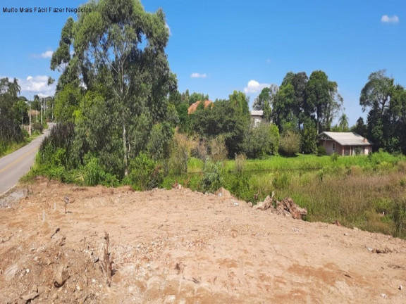 Imagem Terreno à Venda, 494 m² em Linha Olinda - Nova Petrópolis