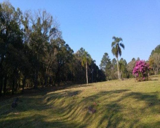 Imagem Imóvel com 2 Quartos à Venda, 110 m² em Fazenda Pirajá - Nova Petrópolis
