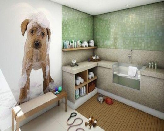 Apartamento com 2 Quartos à Venda, 56 m² em Vila Formosa - São Paulo