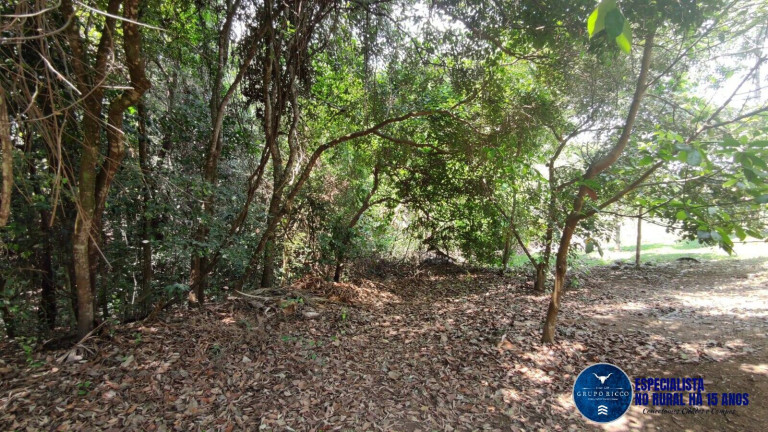 Imagem Chácara à Venda, 2 m² em Zona Rural - Hidrolândia