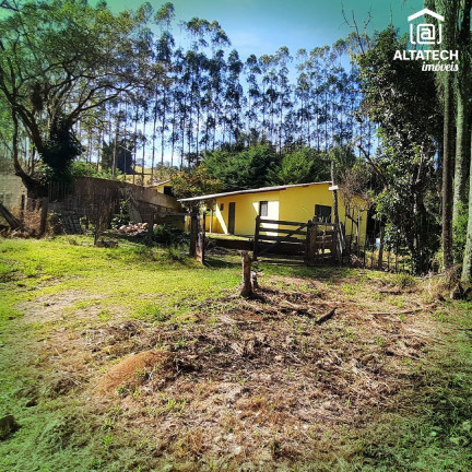Imagem Imóvel com 3 Quartos à Venda, 18.900 m² em Afonso (rural) - Bandeira Do Sul
