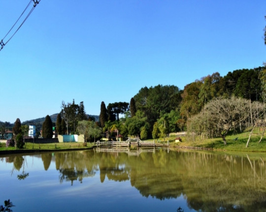 Imagem Imóvel com 3 Quartos à Venda,  em Linha Imperial - Nova Petrópolis