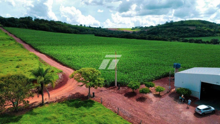 Foto do imóvel Fazenda à Venda,  em São Pedro Do Iguaçú - Toledo