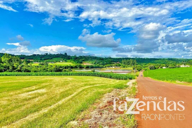 Imagem Fazenda à Venda, 187.200 m² em Vila Nova - Toledo