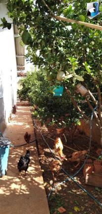 Imagem Casa com 1 Quarto à Venda, 60 m² em Bairro Do Vaz - Quadra