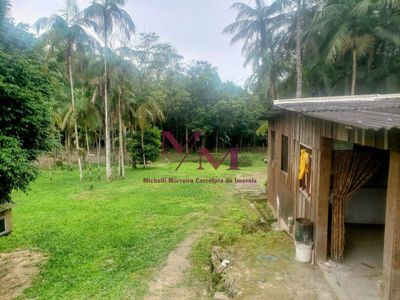 Imagem Chácara com 3 Quartos à Venda, 8.000 m² em Alexandra - Paranaguá