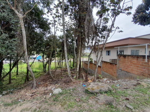 Imagem Terreno à Venda, 257 m² em Bombas - Bombinhas Imagem Terreno à Venda, 257 m² em Bombas - Bombinhas