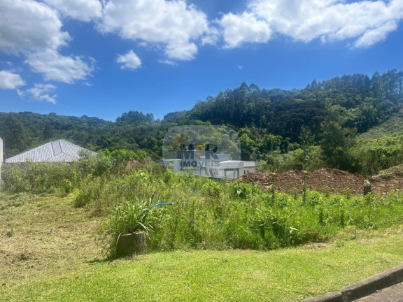 Imagem Terreno à Venda, 390 m² em Plátano - Nova Petrópolis