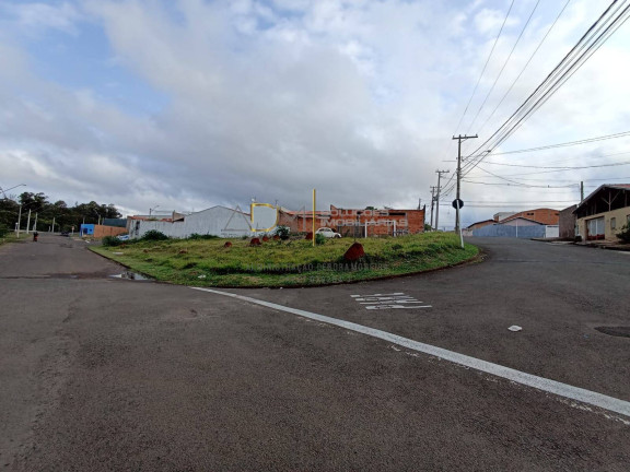 Terreno à Venda, 342 m² em Jardim Real Park - Botucatu