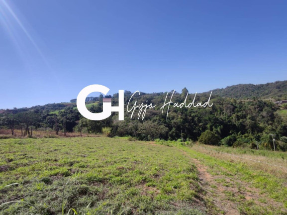 Imagem Terreno à Venda, 3.690 m² em Piedade