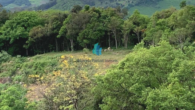 Imagem Terreno à Venda, 23.567 m² em Linha Liberdade - Pinto Bandeira