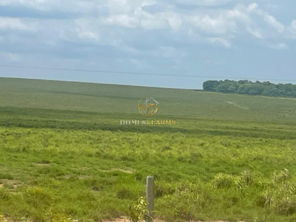 Imagem Imóvel com 12 Quartos à Venda, 12.000 m² em Centro - Tocantins Imagem Imóvel com 12 Quartos à Venda, 12.000 m² em Centro - Tocantins