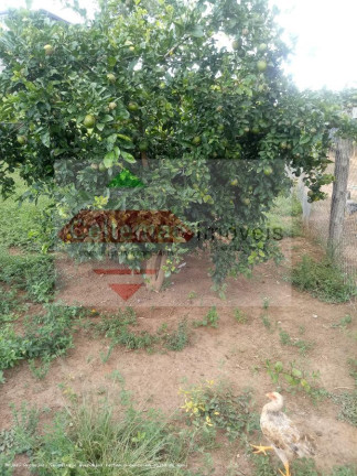 Imagem Chácara com 4 Quartos à Venda, 384 m² em Santa Luzia Rural - Taubaté
