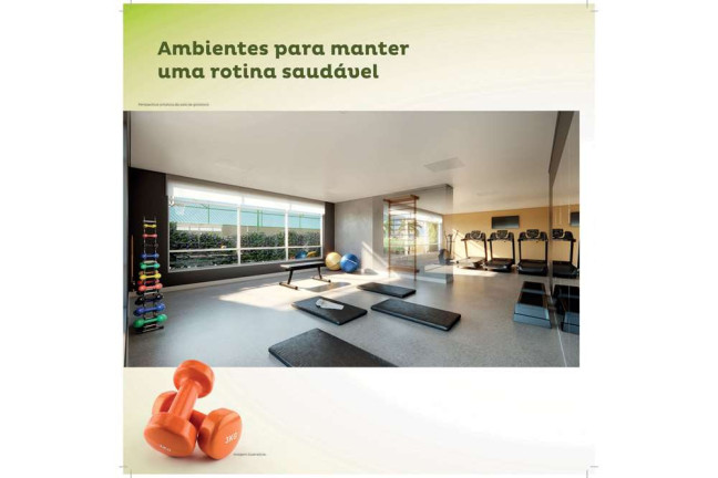 Imagem Apartamento com 3 Quartos à Venda, 67 m² em Vila Cruz Das Almas - São Paulo