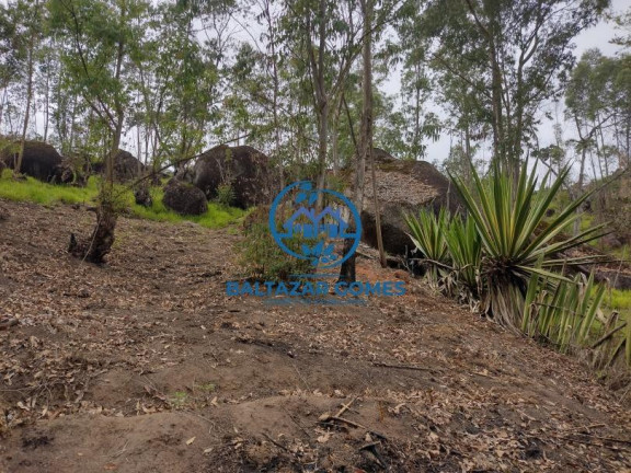 Imagem Terreno à Venda, 1.000 m² em Biritiba Mirim