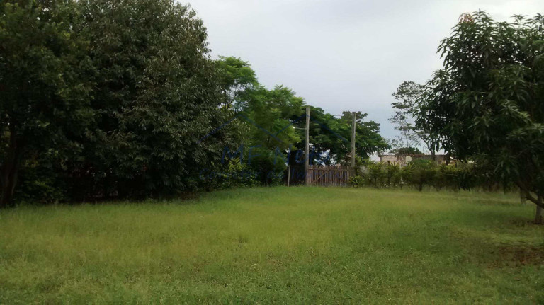 Imagem Fazenda à Venda, 8.400 m² em Zona Rural - Tambaú Imagem Fazenda à Venda, 8.400 m² em Zona Rural - Tambaú