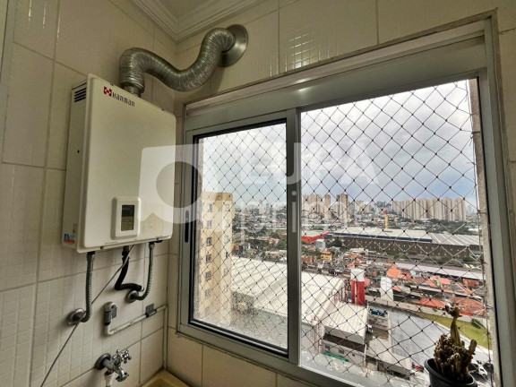 Imagem Apartamento com 2 Quartos para Alugar, 45 m² em Ponte Grande - Guarulhos Imagem Apartamento com 2 Quartos para Alugar, 45 m² em Ponte Grande - Guarulhos