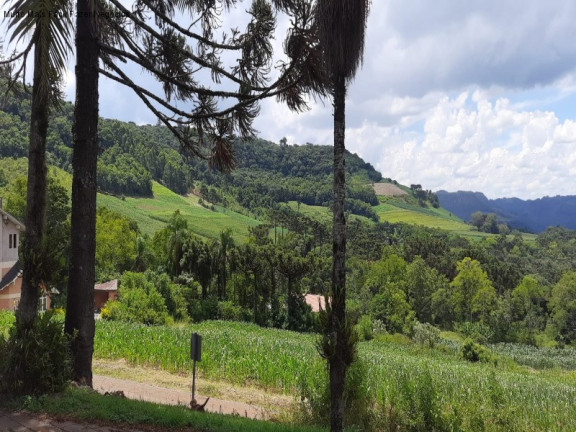 Imagem Imóvel com 3 Quartos à Venda, 142 m² em Linha Brasil - Nova Petrópolis Imagem Imóvel com 3 Quartos à Venda, 142 m² em Linha Brasil - Nova Petrópolis