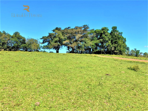 Chácara à Venda, 5.000 m² em Fiuza - Viamão
