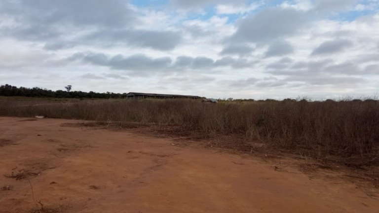 Imagem Fazenda à Venda, 523 m² em Nova Ubiratã - Nova Ubiratã Imagem Fazenda à Venda, 523 m² em Nova Ubiratã - Nova Ubiratã