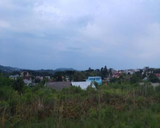 Imagem Terreno à Venda, 503 m² em Pousada Da Neve - Nova Petrópolis Imagem Terreno à Venda, 503 m² em Pousada Da Neve - Nova Petrópolis