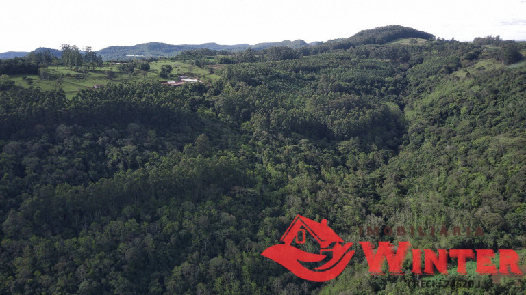 Imagem Chácara à Venda, 70 m² em Morro Grande - Linha Nova Imagem Chácara à Venda, 70 m² em Morro Grande - Linha Nova