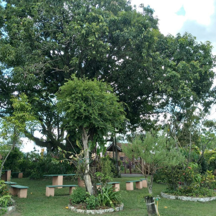 Imagem Chácara com 2 Quartos à Venda, 300 m² em Córrego Da Onça - Charqueada Imagem Chácara com 2 Quartos à Venda, 300 m² em Córrego Da Onça - Charqueada