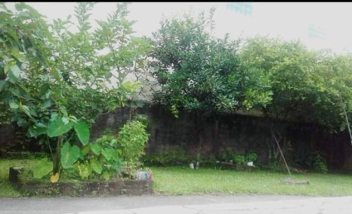 Imagem Sobrado com 5 Quartos à Venda, 480 m² em Jardim Das Gaivotas - Caraguatatuba Imagem Sobrado com 5 Quartos à Venda, 480 m² em Jardim Das Gaivotas - Caraguatatuba