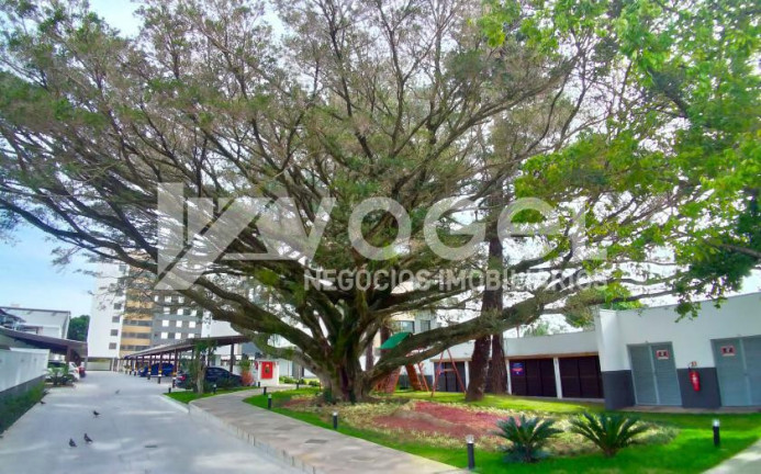 Apartamento com 3 Quartos à Venda, 76 m² em Camaquã - Porto Alegre