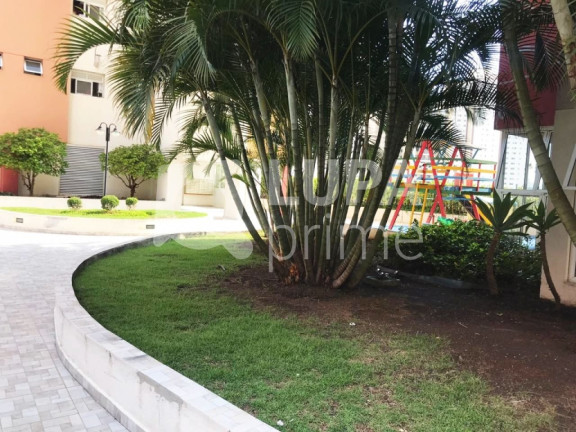 Imagem Apartamento com 3 Quartos à Venda, 70 m² em Parada Inglesa - São Paulo Imagem Apartamento com 3 Quartos à Venda, 70 m² em Parada Inglesa - São Paulo