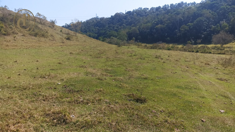Imagem Chácara com 3 Quartos à Venda, 500 m² em Varadouro - São José Dos Campos Imagem Chácara com 3 Quartos à Venda, 500 m² em Varadouro - São José Dos Campos