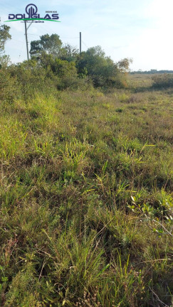 Imagem Terreno à Venda, em Viamão Imagem Terreno à Venda, em Viamão