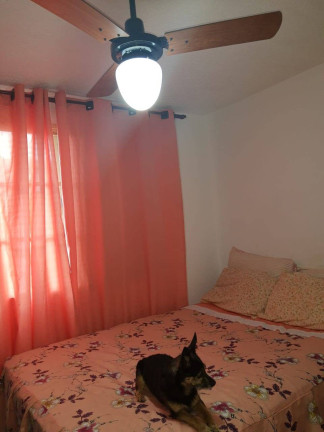 Imagem Apartamento com 2 Quartos à Venda, 53 m² em Cooperativa - São Bernardo Do Campo Imagem Apartamento com 2 Quartos à Venda, 53 m² em Cooperativa - São Bernardo Do Campo