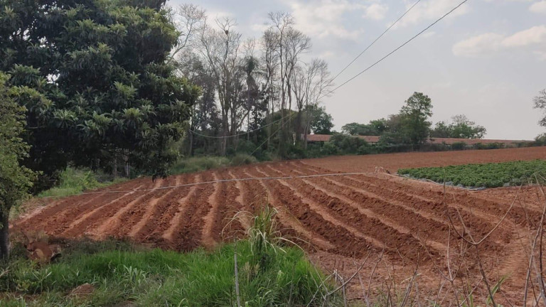 Imagem Imóvel com 2 Quartos à Venda, 96.800 m² em Rural - Japira