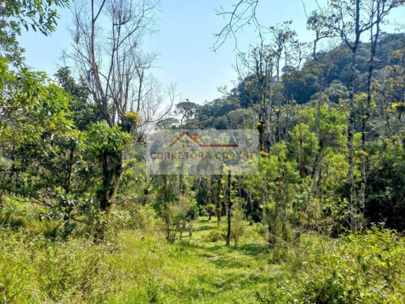 Imagem Terreno à Venda, 24.000 m² em Palmeiras - Juquitiba Imagem Terreno à Venda, 24.000 m² em Palmeiras - Juquitiba