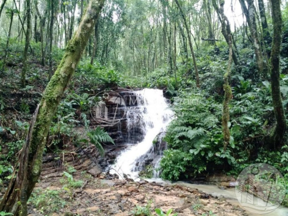 Imagem Imóvel com 3 Quartos à Venda, 2 m² em Belo Horizonte - Agronômica Imagem Imóvel com 3 Quartos à Venda, 2 m² em Belo Horizonte - Agronômica