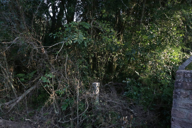 Imagem Terreno à Venda, 1.350 m² em águas Claras - Viamão Imagem Terreno à Venda, 1.350 m² em águas Claras - Viamão