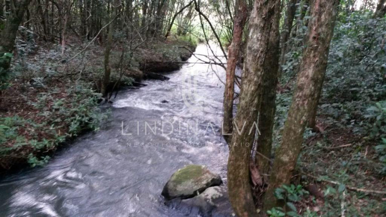Imagem Fazenda à Venda, 10.649 m² em Cognópolis - Foz Do Iguacu