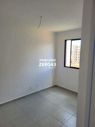 Imagem Apartamento com 2 Quartos à Venda, 47 m² em Jardim Maria Celina - Londrina Imagem Apartamento com 2 Quartos à Venda, 47 m² em Jardim Maria Celina - Londrina