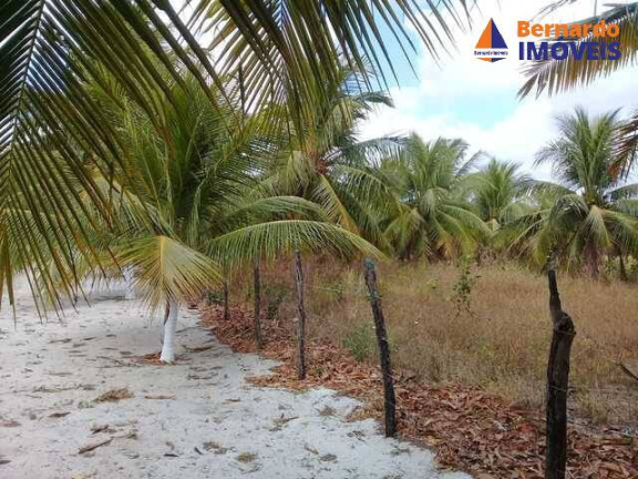 Imagem Chácara com 4 Quartos à Venda, 234 m² em Rodeador - Pindoretama