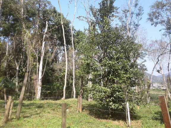Imagem Terreno em Condomínio à Venda, 360 m² em Sertão Da Quina - Ubatuba Imagem Terreno em Condomínio à Venda, 360 m² em Sertão Da Quina - Ubatuba